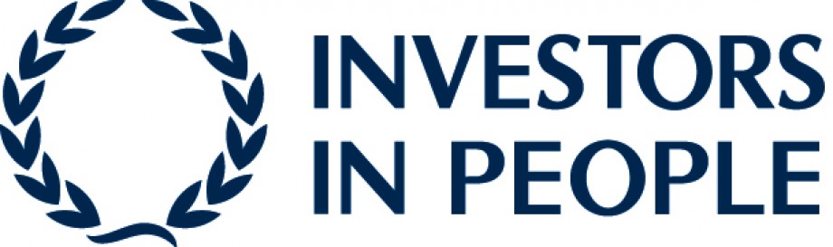 IIP Bronze Logo